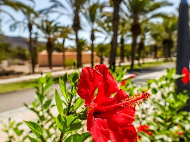 Belvilla By Oyo Chalet En Tuineje Para 6 Personas מראה חיצוני תמונה